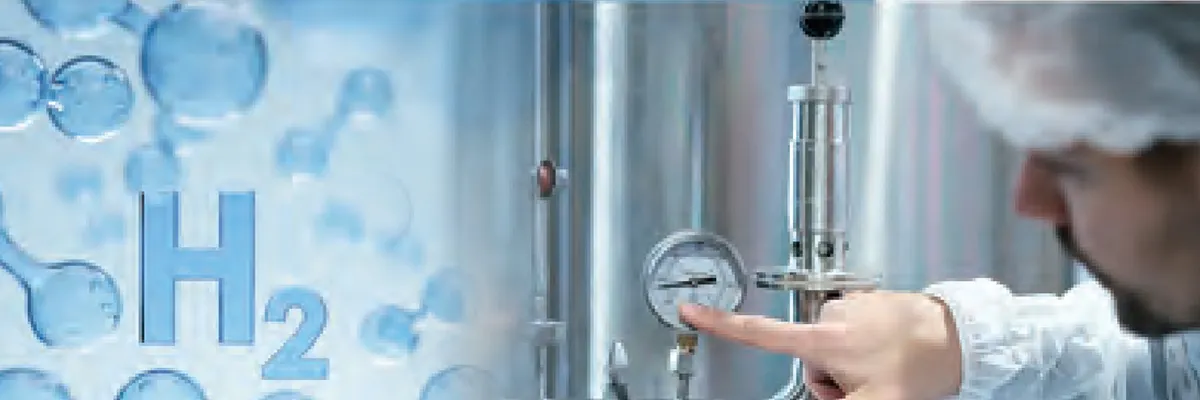 Applications in Hydrogen Atmosphereの用途例｜AMPCO